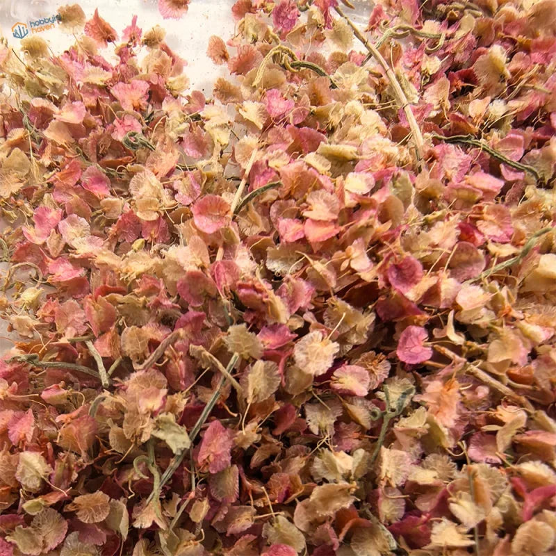 Miniature pink leaves pile of dried pinkish-red and beige plant leaves