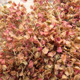 Miniature pink leaves pile of dried pinkish-red and beige plant leaves