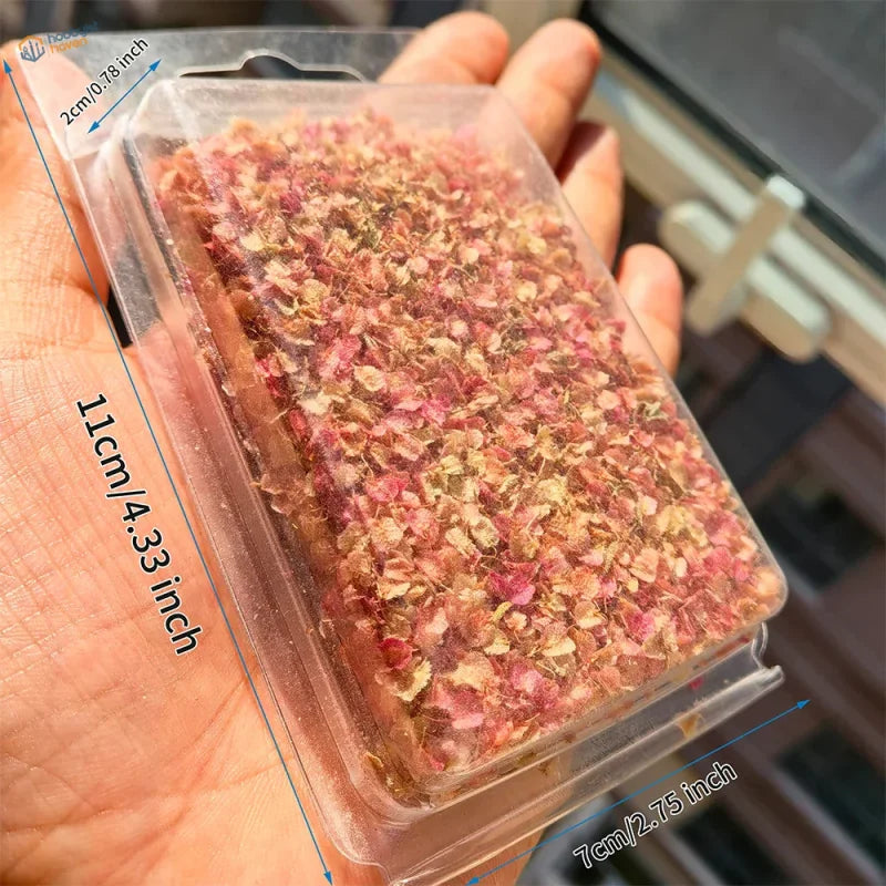 Miniature pink leaves in clear container with dried pink and beige petals