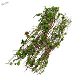 Miniature resin vine bundle with green and brown ivy leaves