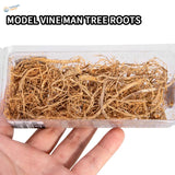 Miniature vine tree roots in transparent plastic container