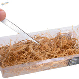 Miniature vine tree roots in clear plastic container