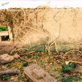 Miniature vine tree roots with tan plastic tank and black cross emblem