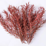 10pcs 100-150mm miniature red eucalyptus for scale modeling tools