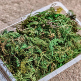Vibrant artificial green moss in container for scale models