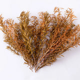 10pcs 100-150mm miniature reed plants bundle for scale modeling tools