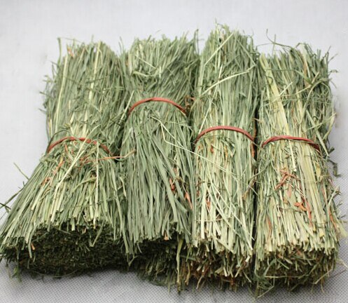Four Straw Huts